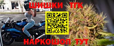 индика Нягань