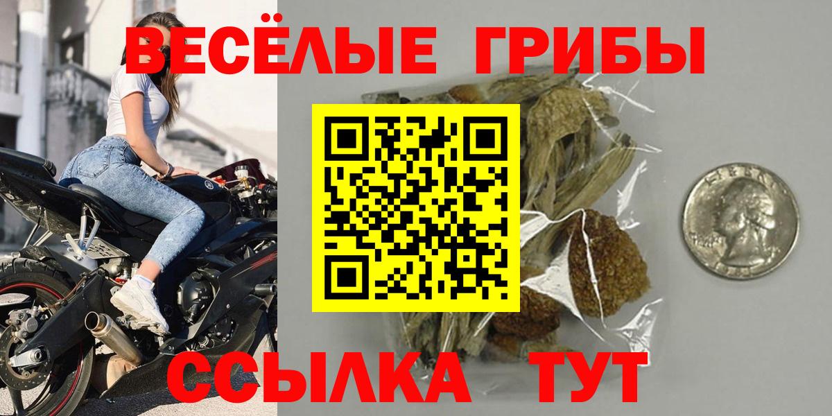 Сафоново  Псилоцибиновые грибы Magic Shrooms  Вход с VPN 
