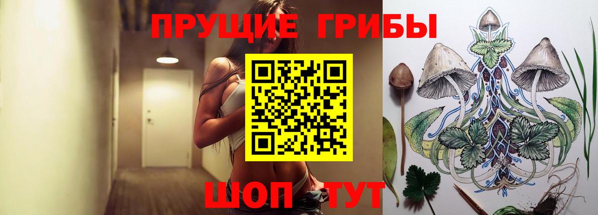 Галлюциногенные грибы Cubensis Сафоново